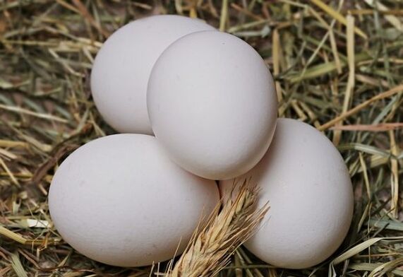 Le régime aux œufs consiste à manger des œufs tous les jours. 