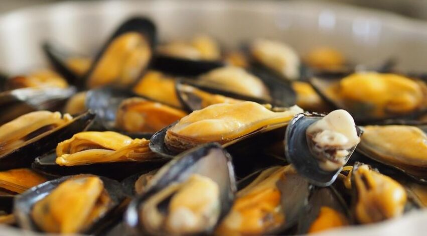 Moules dans un régime protéiné